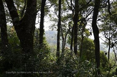 Periyar N.P., Thekkadi_DSC7381_H600